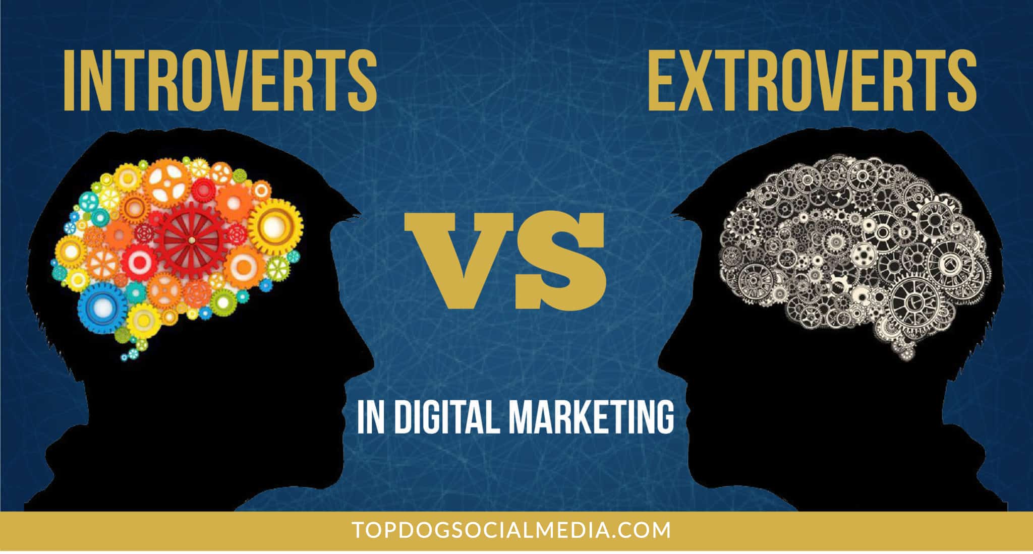 introvert vs extrovert infographic